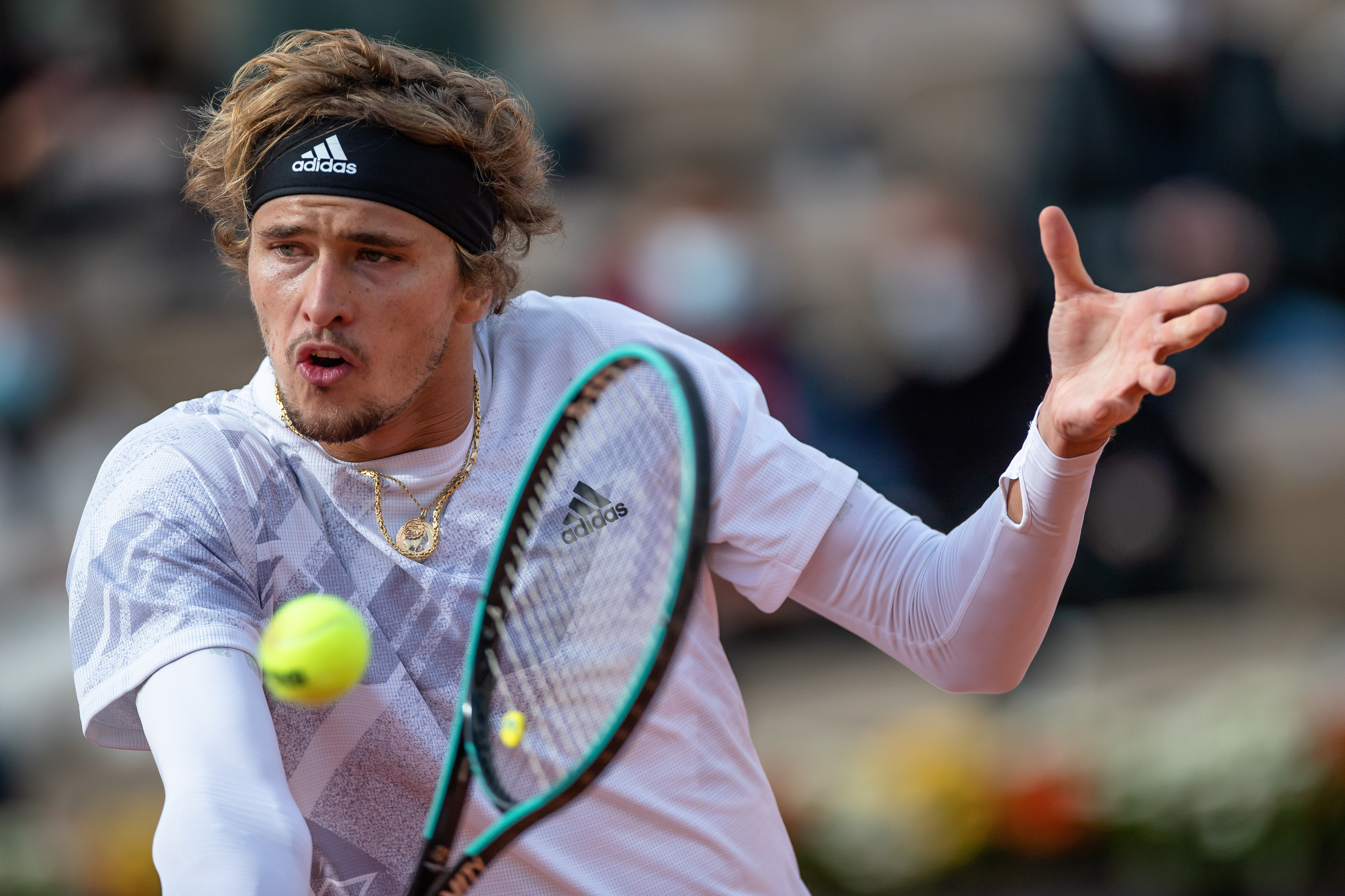 的展示会 的展示会